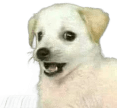 Remove Background from Shocked Puppy Image | BgRemovit AI
