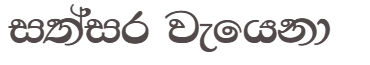 Before — original input