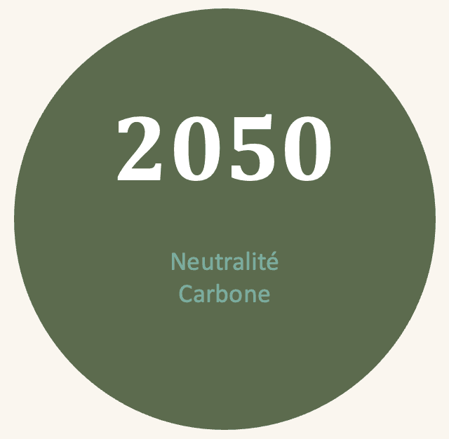 Before — original input
