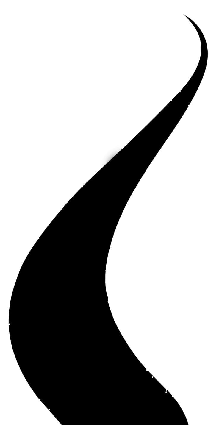 Before — original input