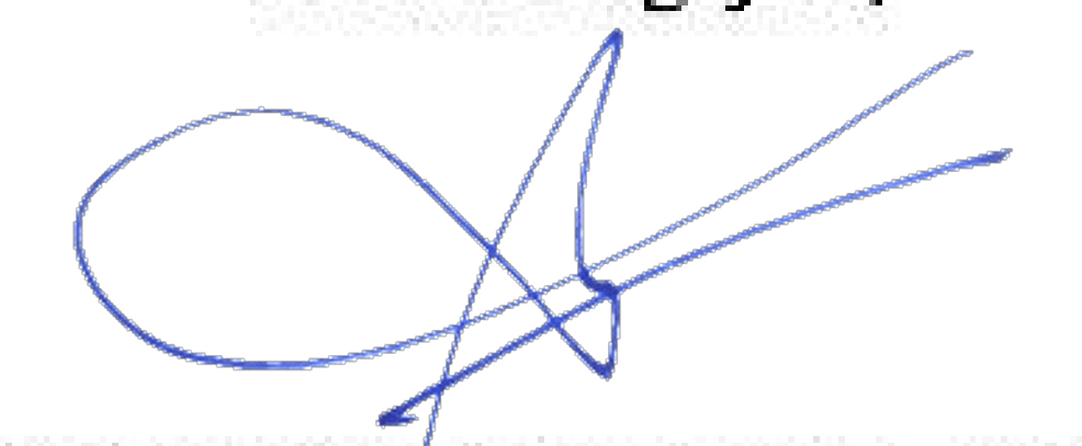 Before — original input