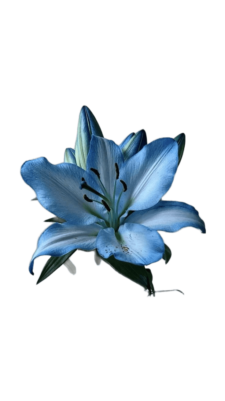 After — AI processed result