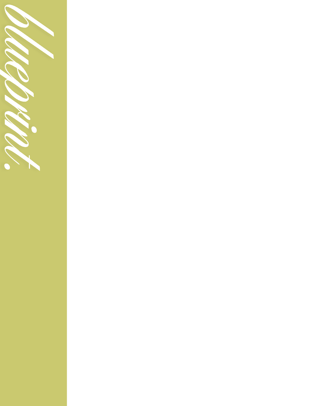 Before — original input