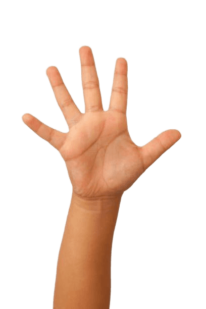 Remove Background from Child's Hand Image | BgRemovit AI