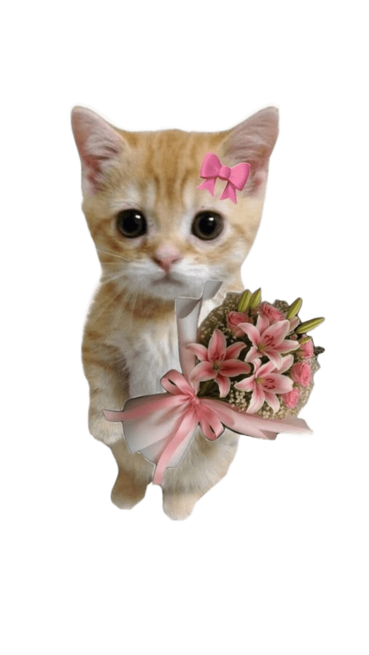 Remove Background from Cute Kitten with Flowers & Bow