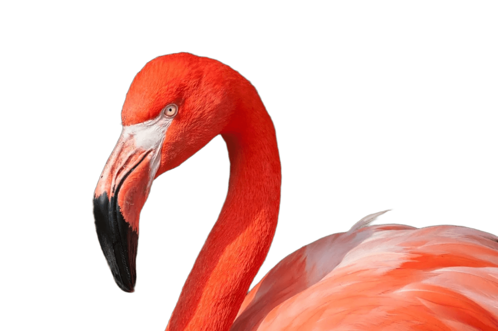 After — AI processed result