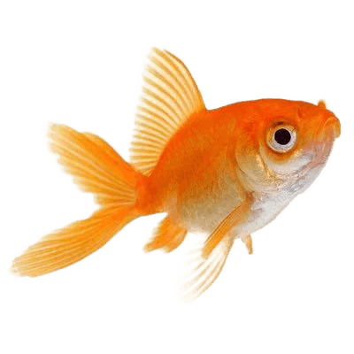 After — AI processed result