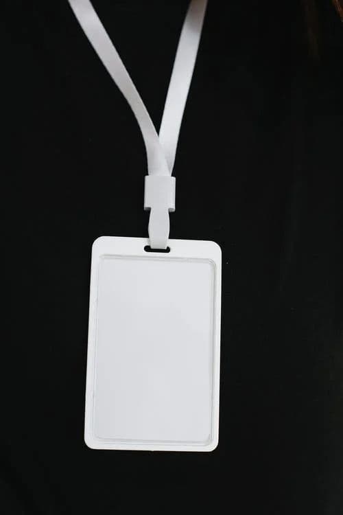 Before — original input