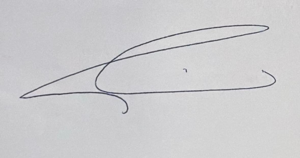 Before — original input