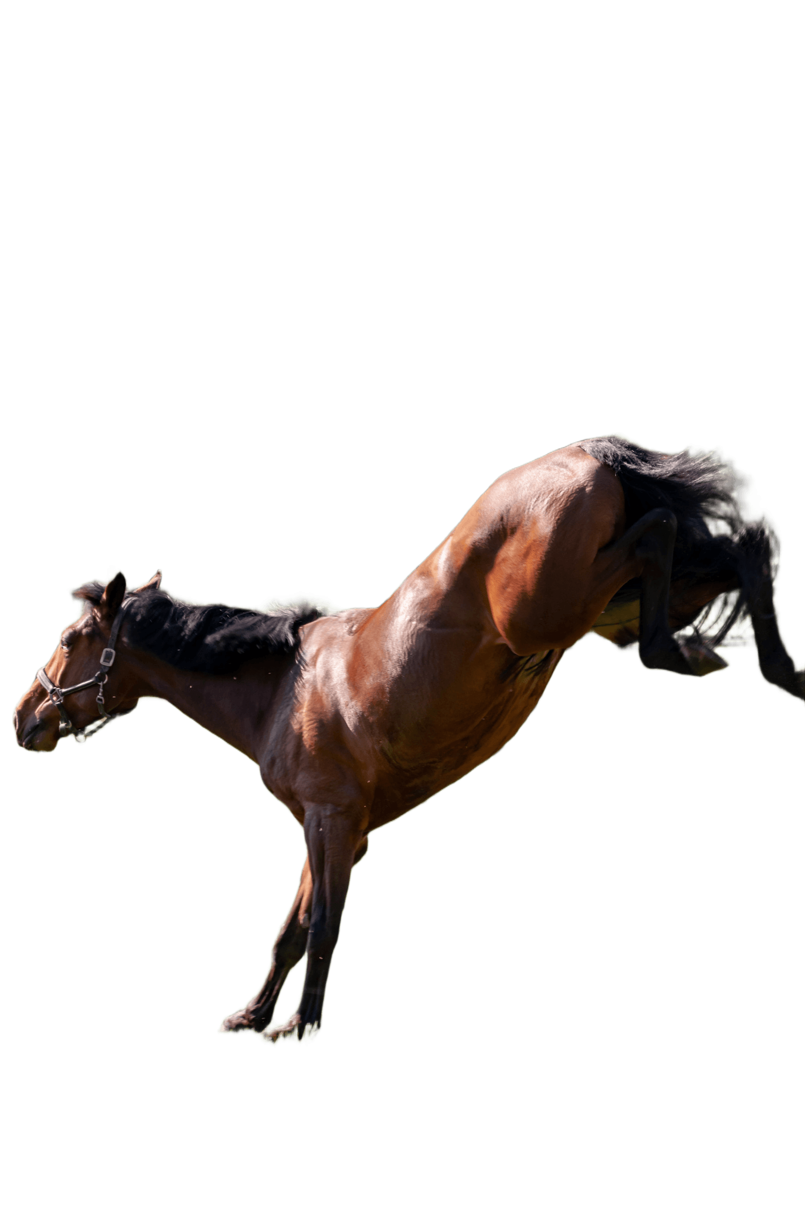After — AI processed result