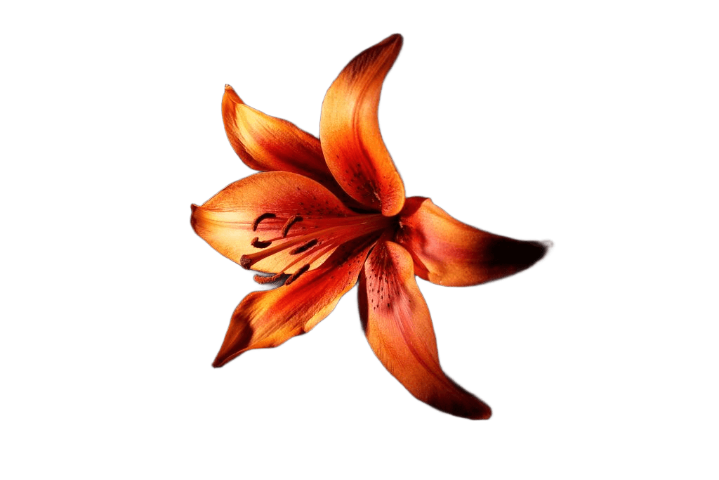 After — AI processed result
