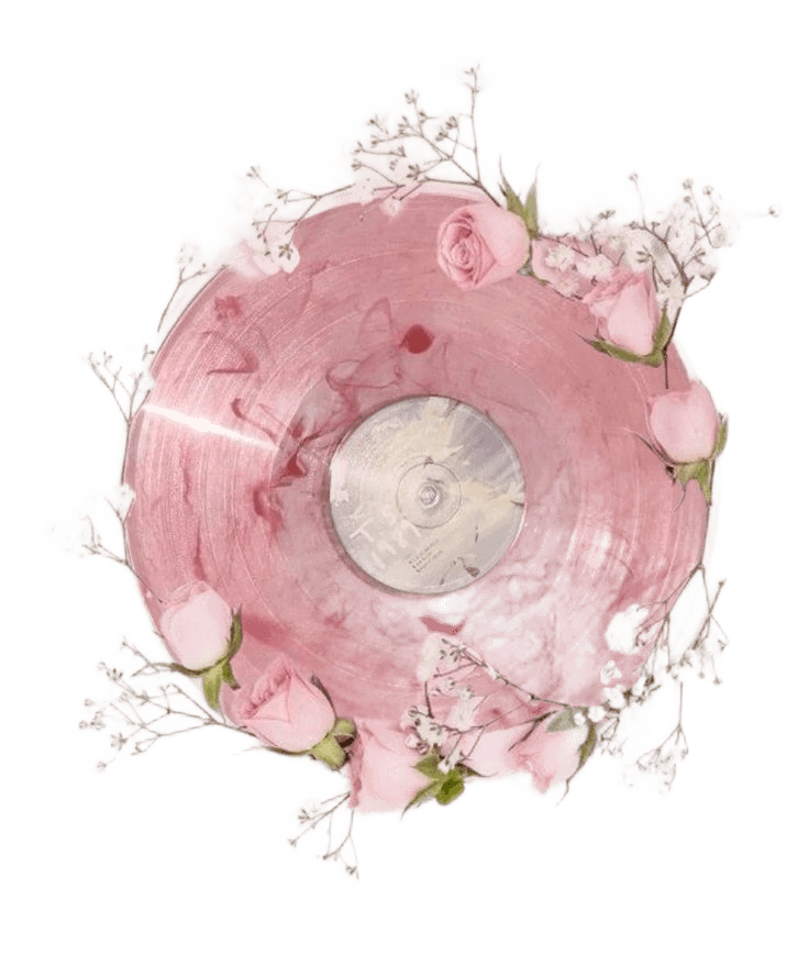 Seamless Background Removal for Delicate Floral & Vinyl Compositions