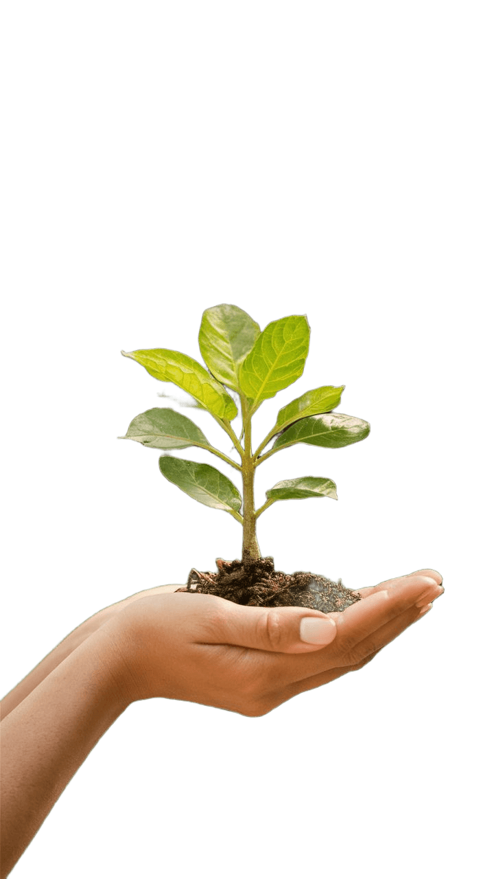 Remove Background from Plant in Hands Image | BgRemovit AI