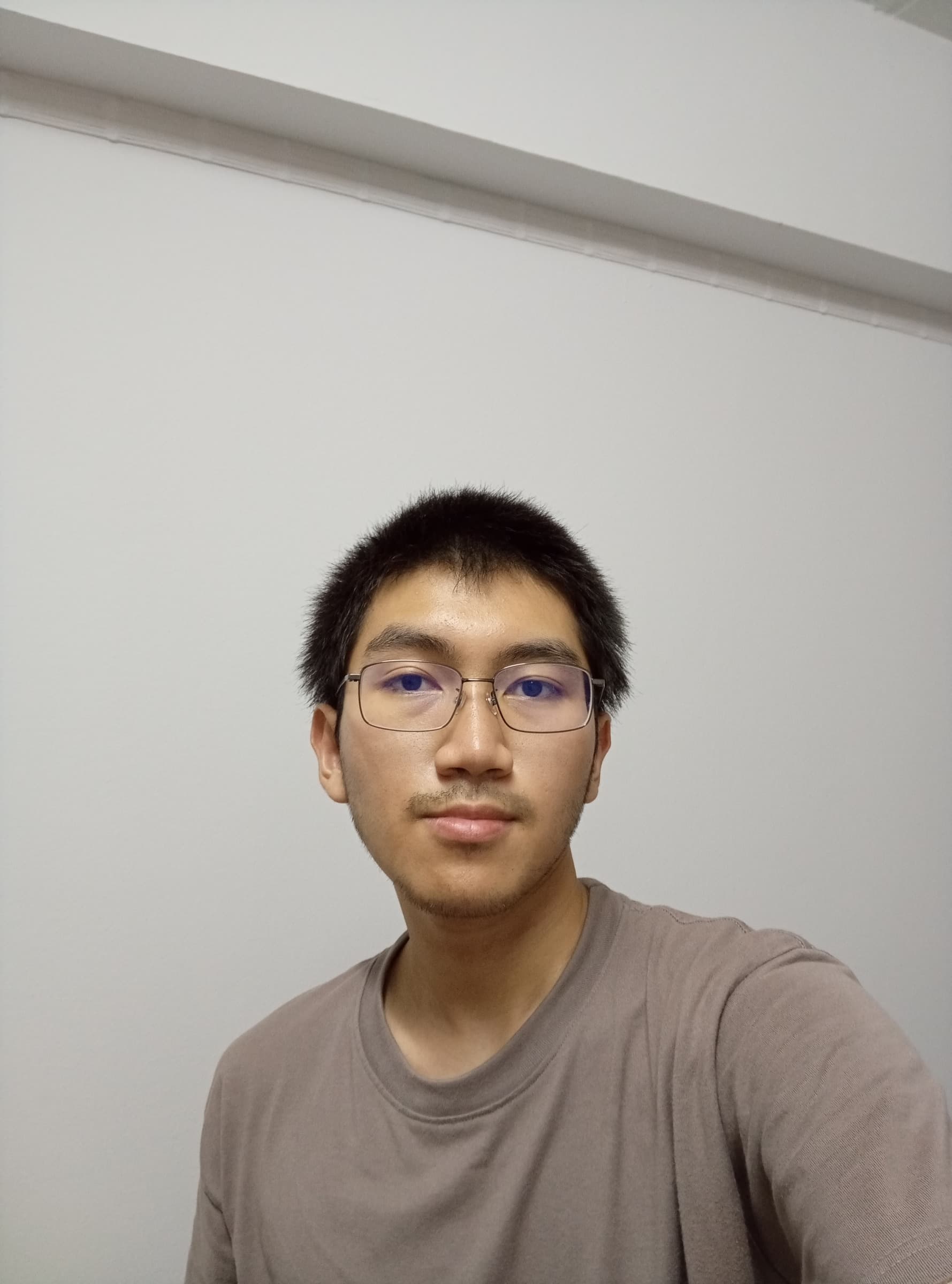 Before — original input
