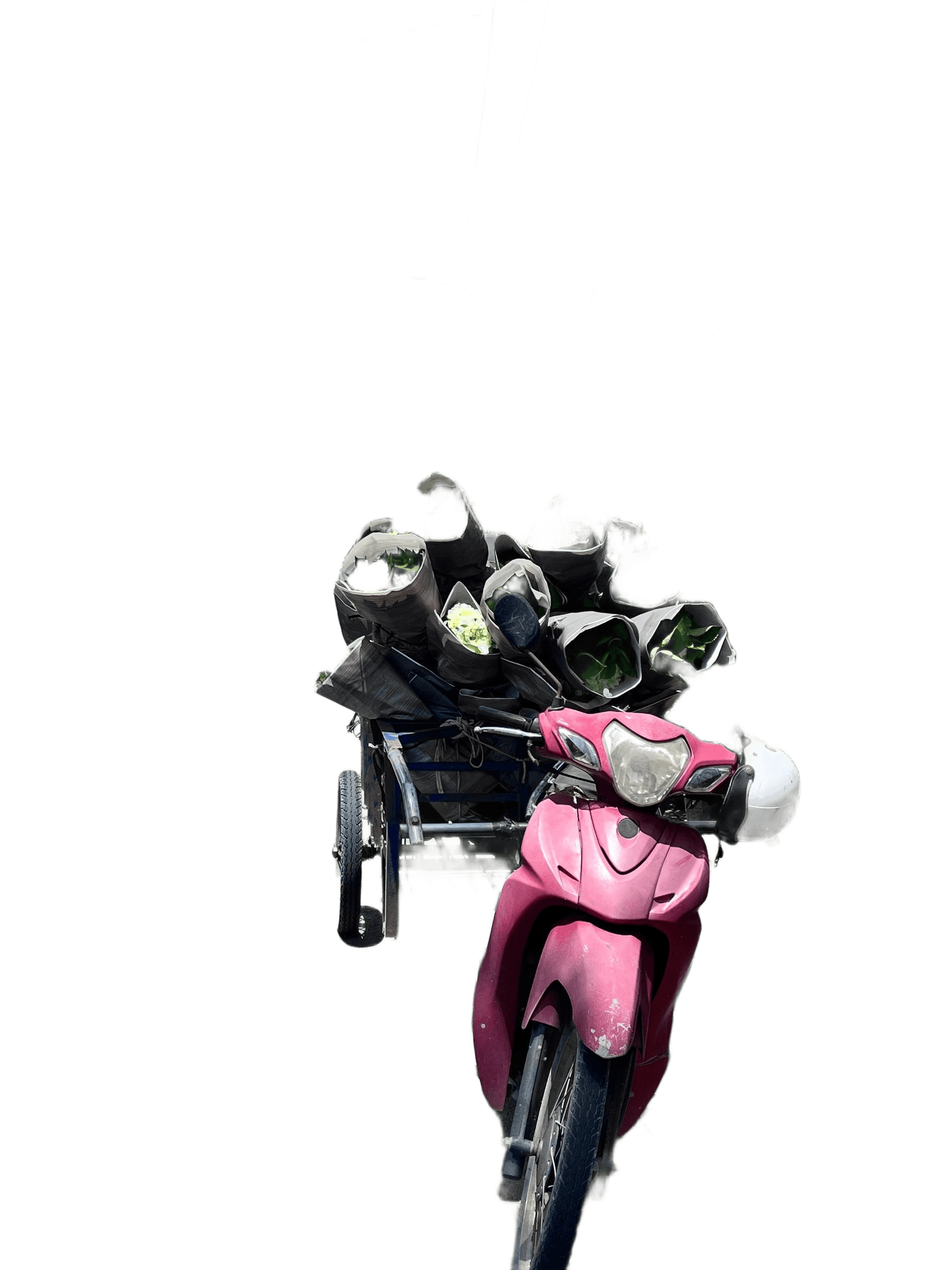 AI Background Removal: Scooter with Plant Trailer