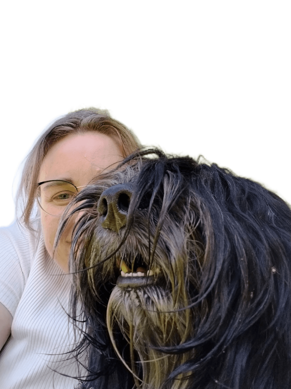 Remove Background from Shaggy Dog & Person Photo | BgRemovit
