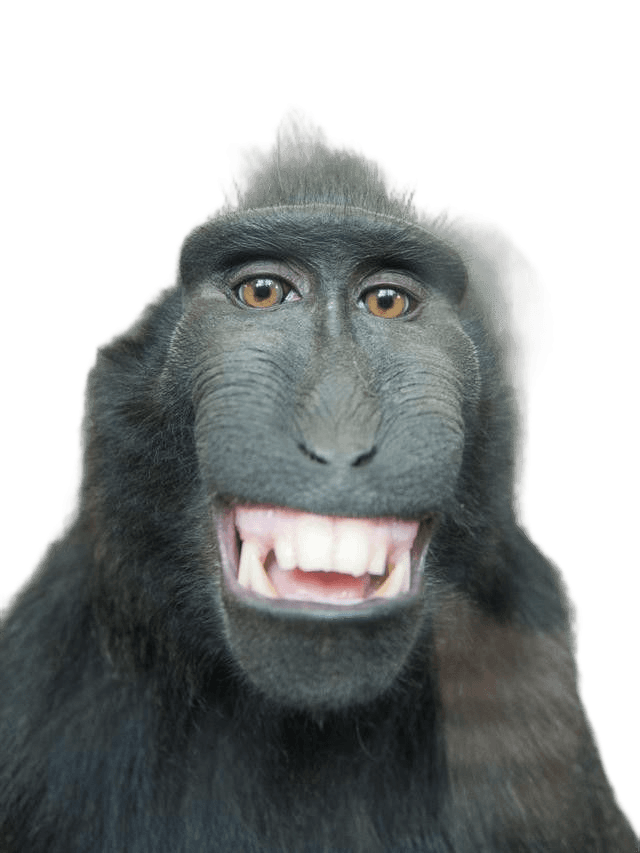 After — AI processed result