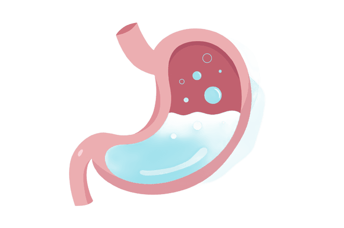AI Remove Background from Stomach Illustration | BgRemovit