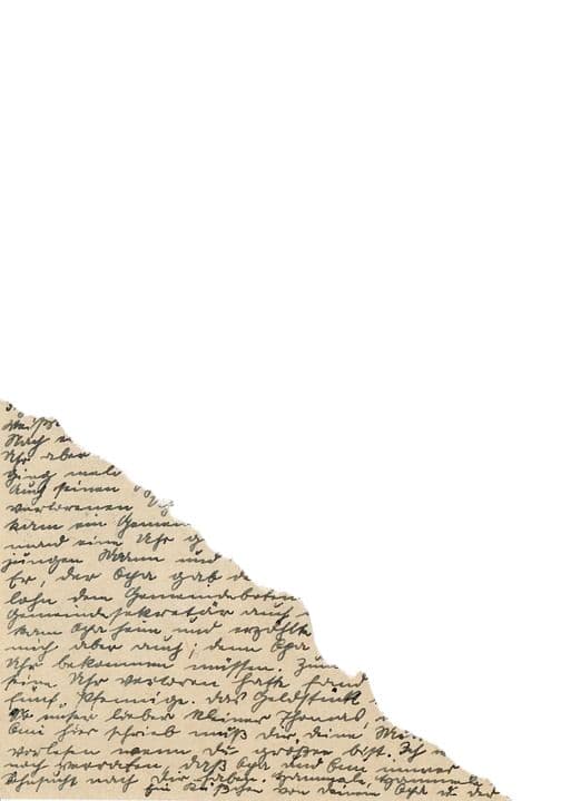 Before — original input