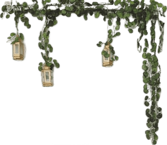 AI Background Removal: Vines with Lanterns | BgRemovit