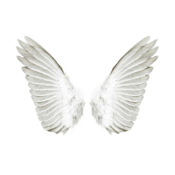 Flawless AI Background Removal for Intricate White Feather Wings