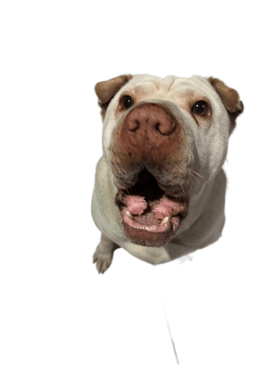 After — AI processed result