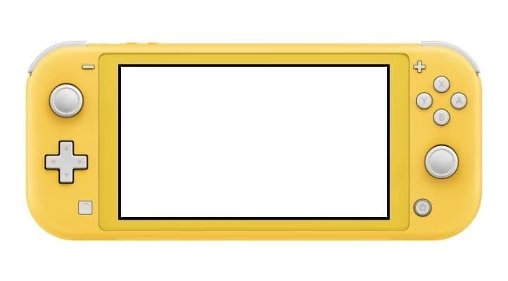 Before — original input