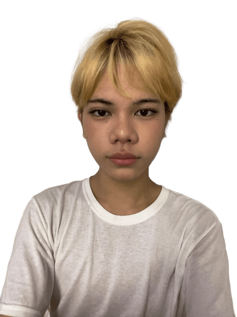 Flawless Background Removal for Portraits with Intricate Hair
