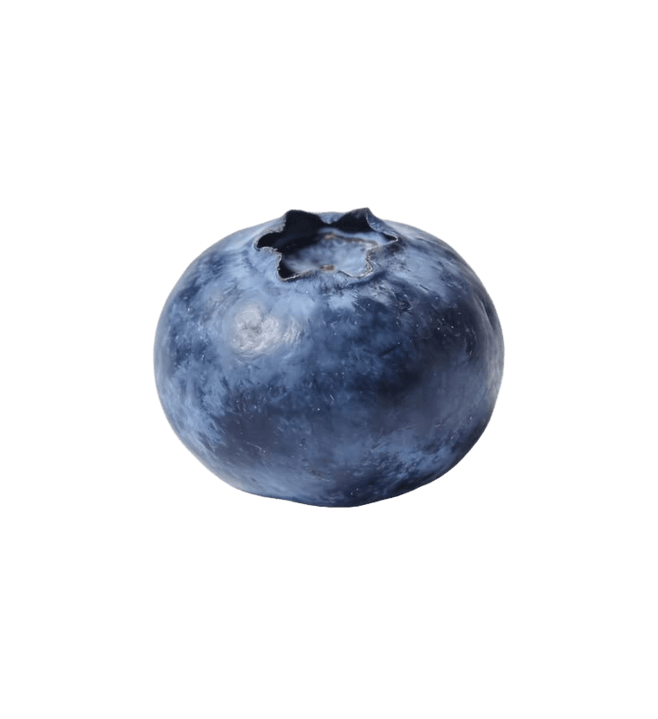Flawless Blueberry Background Removal for E-commerce