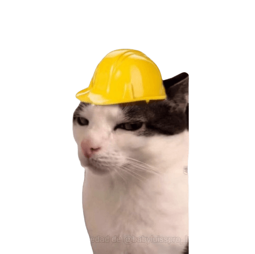 Transparent Cat with Hard Hat PNG | BgRemovit AI Background Remover