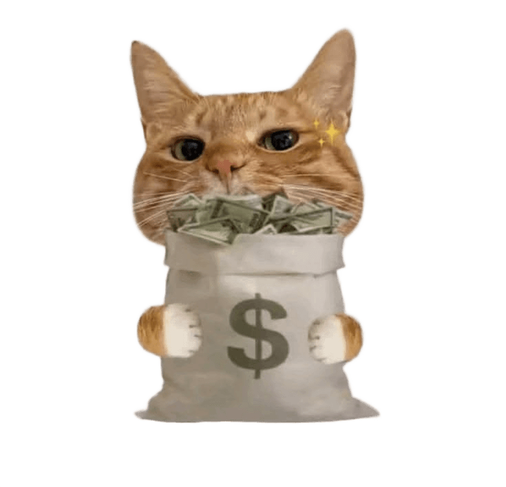 Instantly Remove Background from Your Cat & Money Bag Image