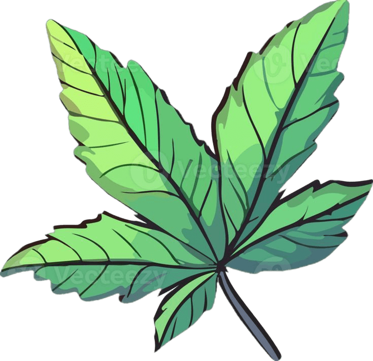 Transparent Leaf Illustration | AI Background Remover