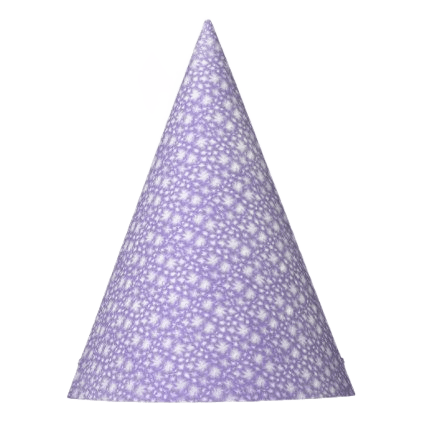 Transparent Party Hat Image | Flawless AI Background Removal