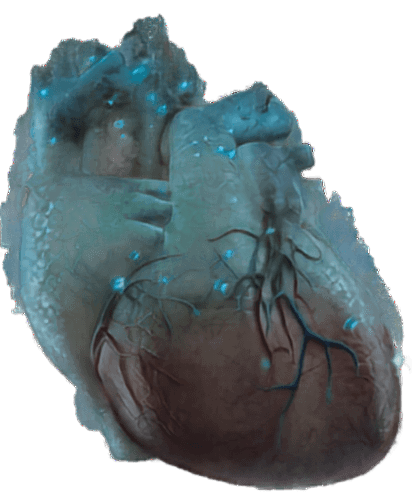 Unlock the True Visual Power of Your Art: Stylized Heart Background Removed
