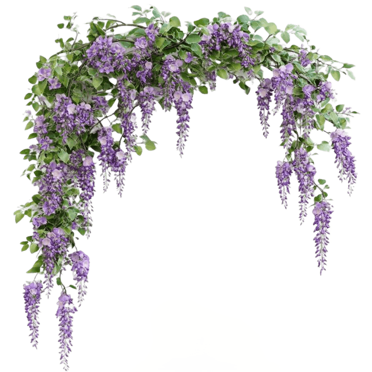 After — AI processed result