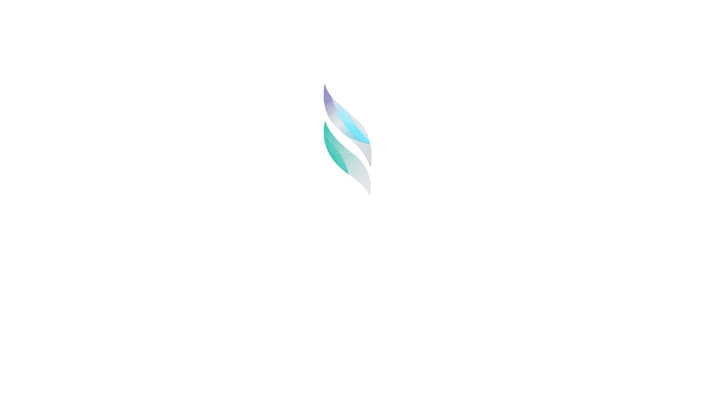 Before — original input