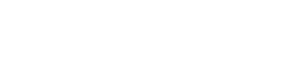 Before — original input