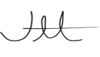 Before — original input