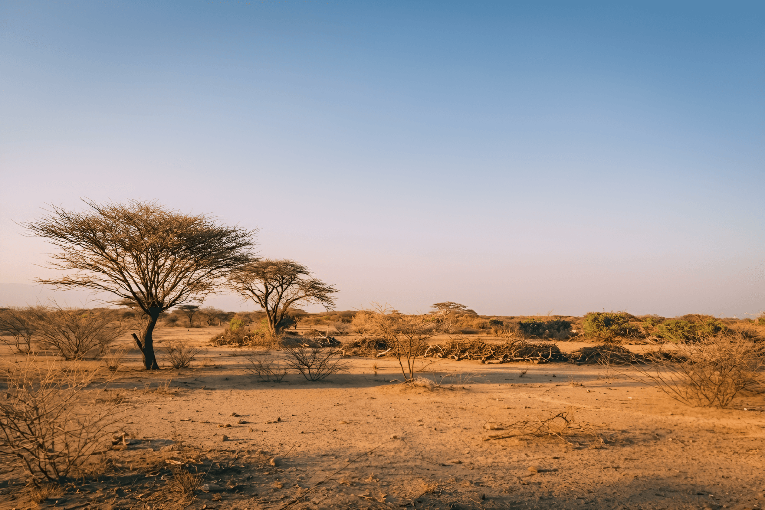 Unveiling Hidden Details: AI Enhances Desert Landscape