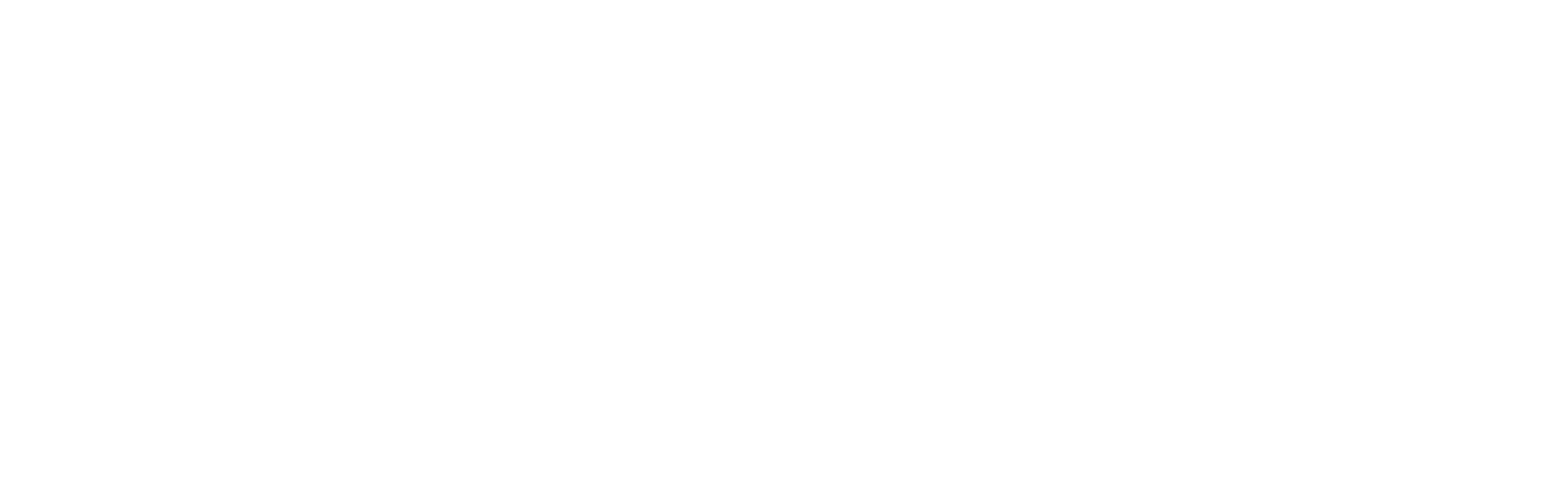Before — original input