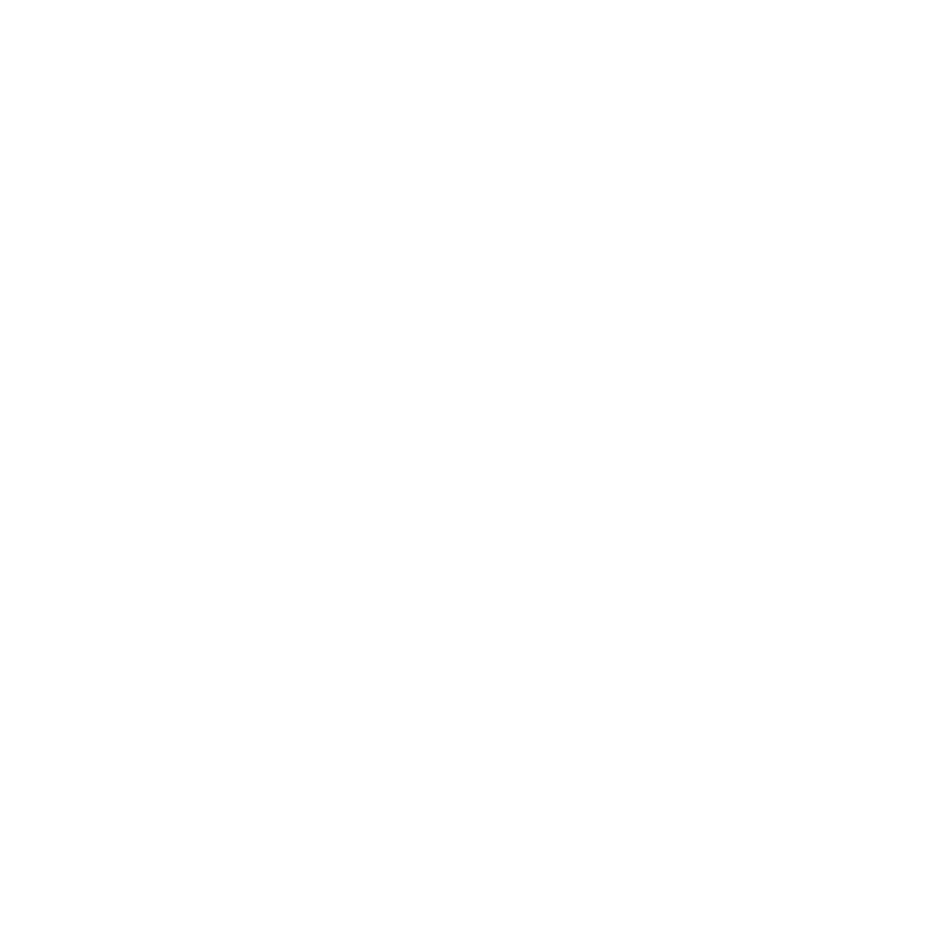 Before — original input