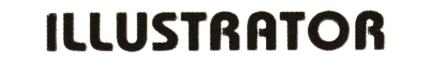 Before — original input