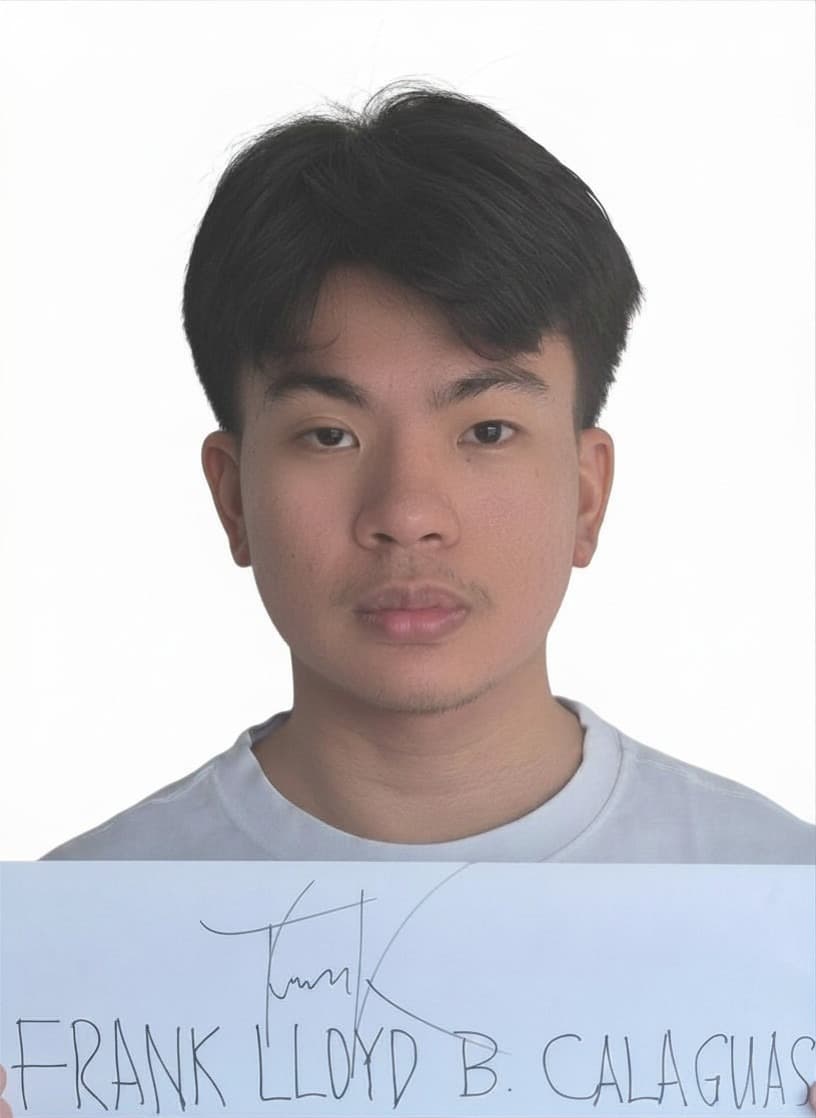 Before — original input
