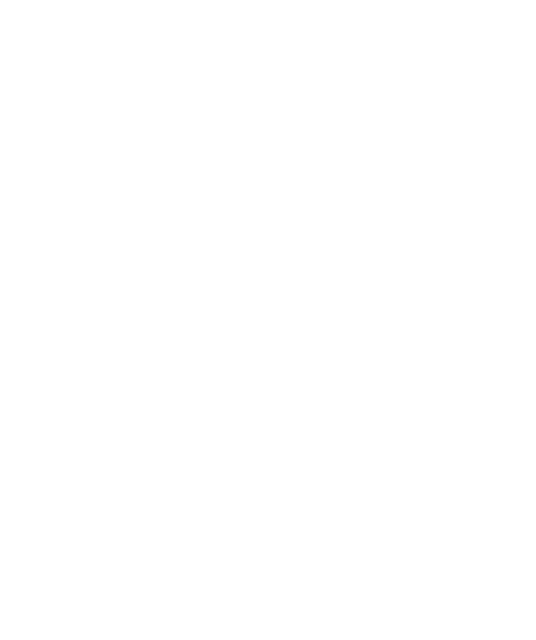 Before — original input