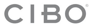 Before — original input
