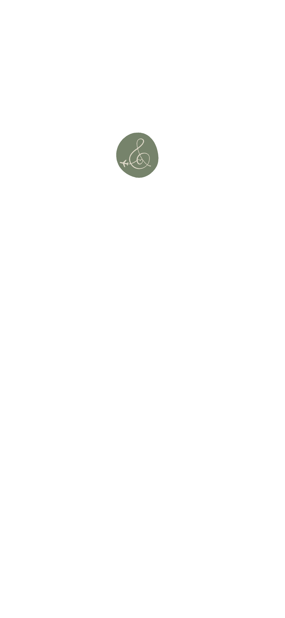 Before — original input