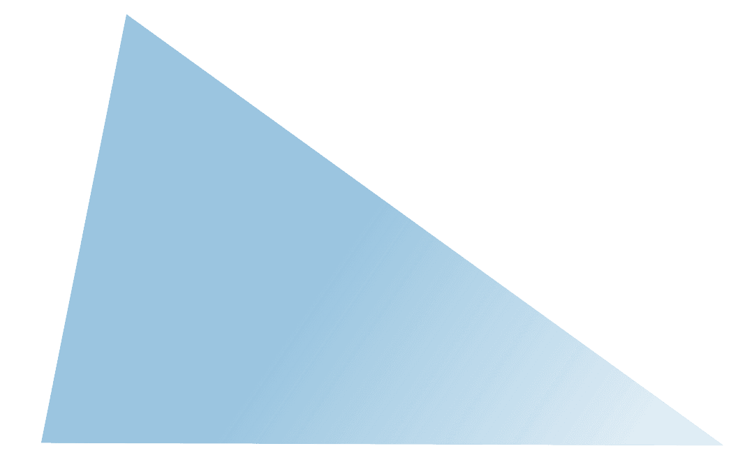 Before — original input