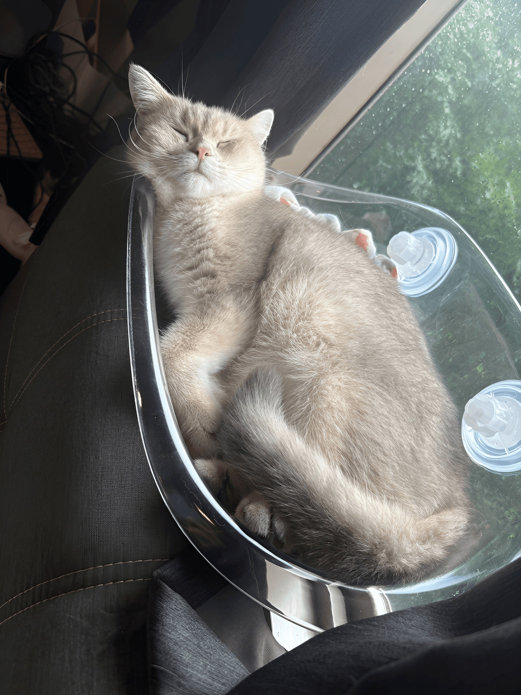 After — AI processed result