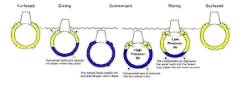 Before — original input