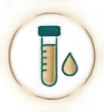 Before — original input